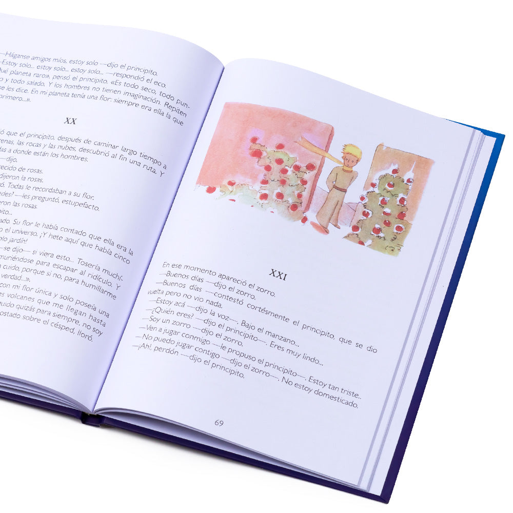 Le Petit Prince / Livre pour enfants à couverture rigide