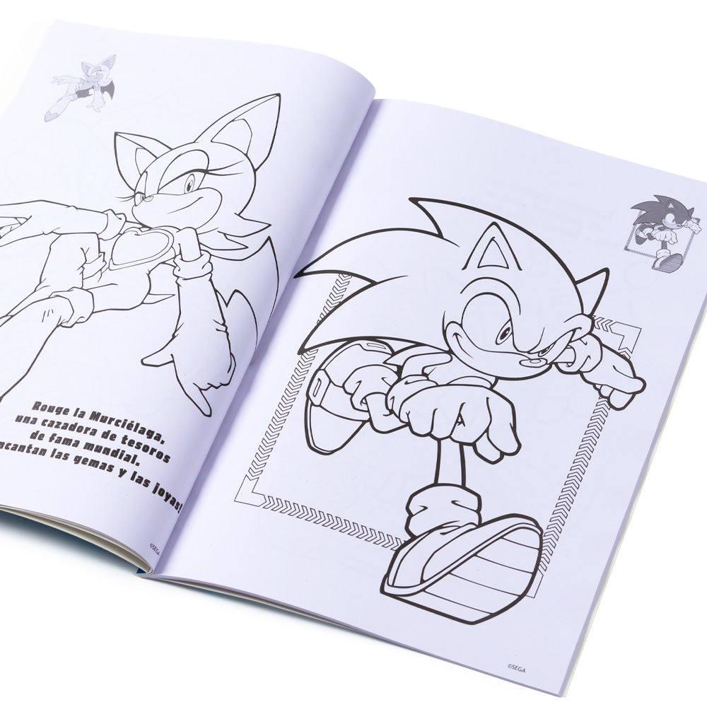 Livre de coloriage Sonic avec autocollants / Livre de peinture pour enfants / Dessin artistique DIY