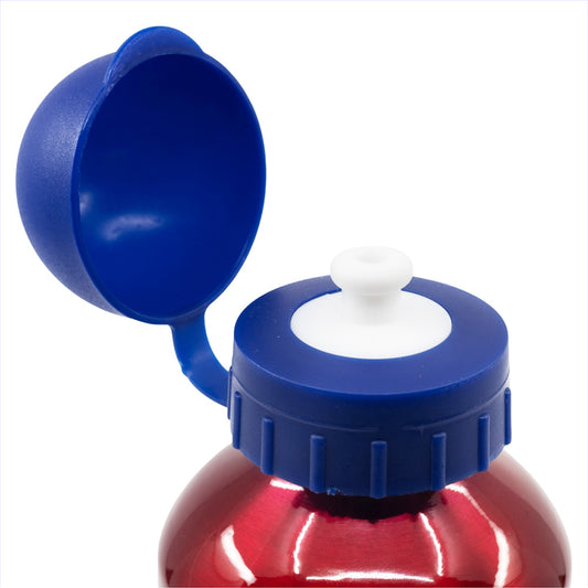 Gourde en aluminium pour enfants 400 ml Avengers / Gourde enfant / Gourde réutilisable