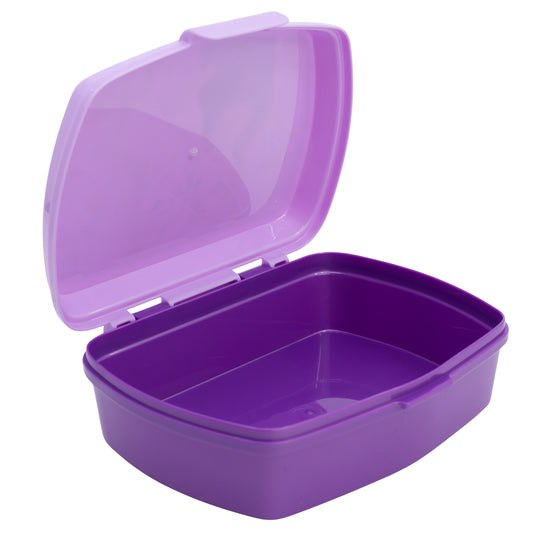 Stor Rectangular Sandwich Box Frozen Autumn Leaves / BPA Free / Lunch Box for Kids / School / Daycare