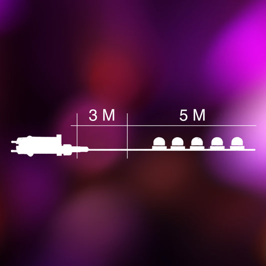 Lumière décorative de Noël LED chaude et blanche 5M 100L