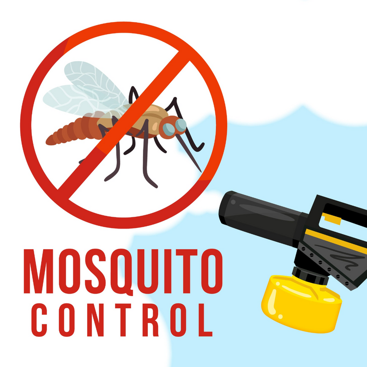 Protección de Verano