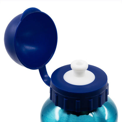 Gourde aluminium enfant 400 ml Bluey / Gourde enfant / Gourde réutilisable