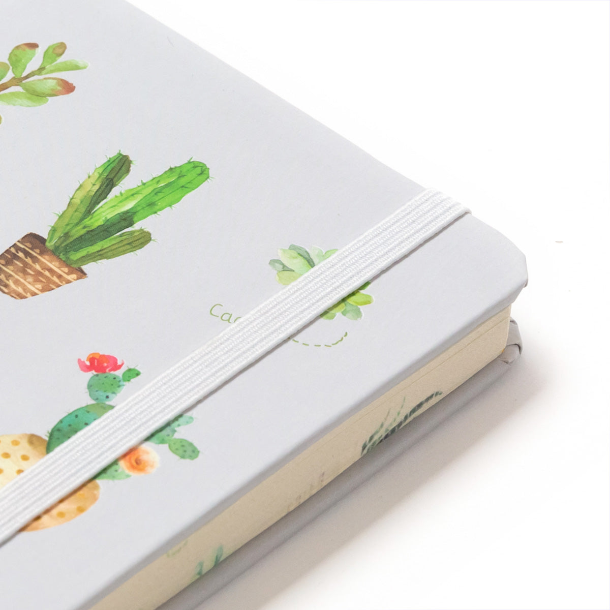 Cuaderno Serie Cactus,Tamaño Pequeño 9x14cm,192 Pages/527966 - LIMÓN ARTES