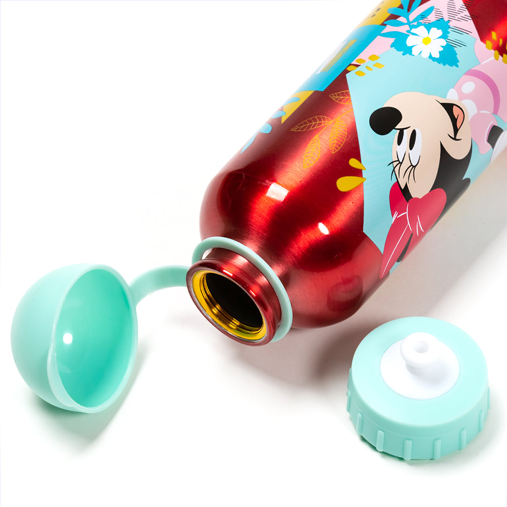 Disney Botella de agua 400 ml de aluminio con boquilla retráctil/ Escuela/Guardería/Varios patrones disponibles - LIMÓN ARTES