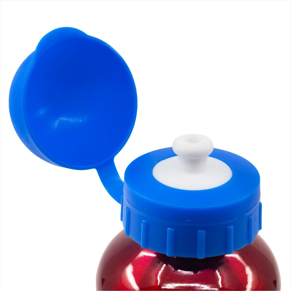 Gourde en aluminium pour enfants 400 ml Spiderman / Gourde enfant / Gourde réutilisable